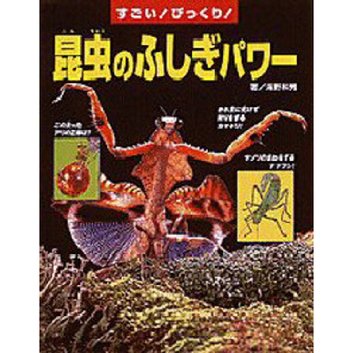 すごい！びっくり！昆虫のふしぎパワー