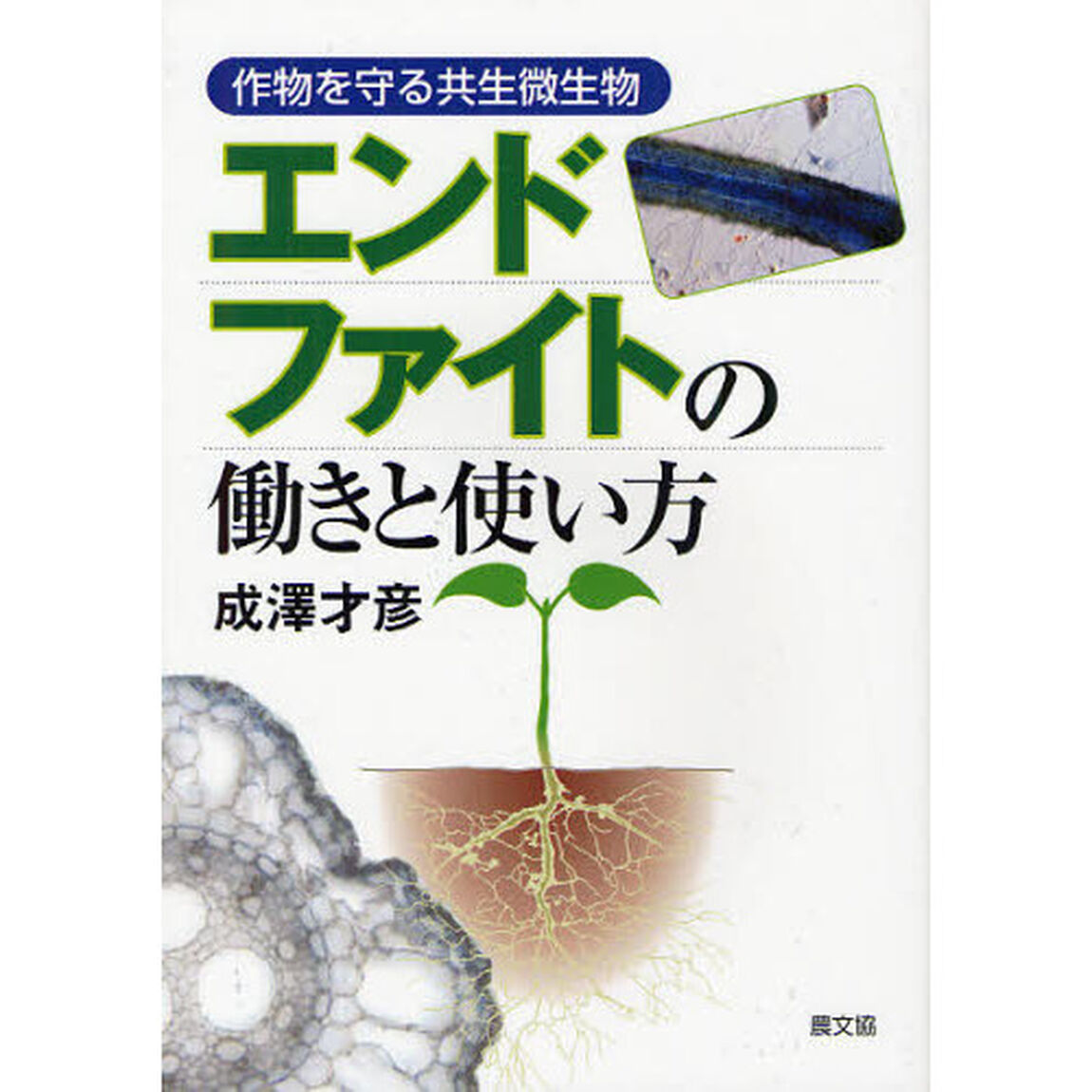 エンドファイトの働きと使い方　作物を守る共生微生物