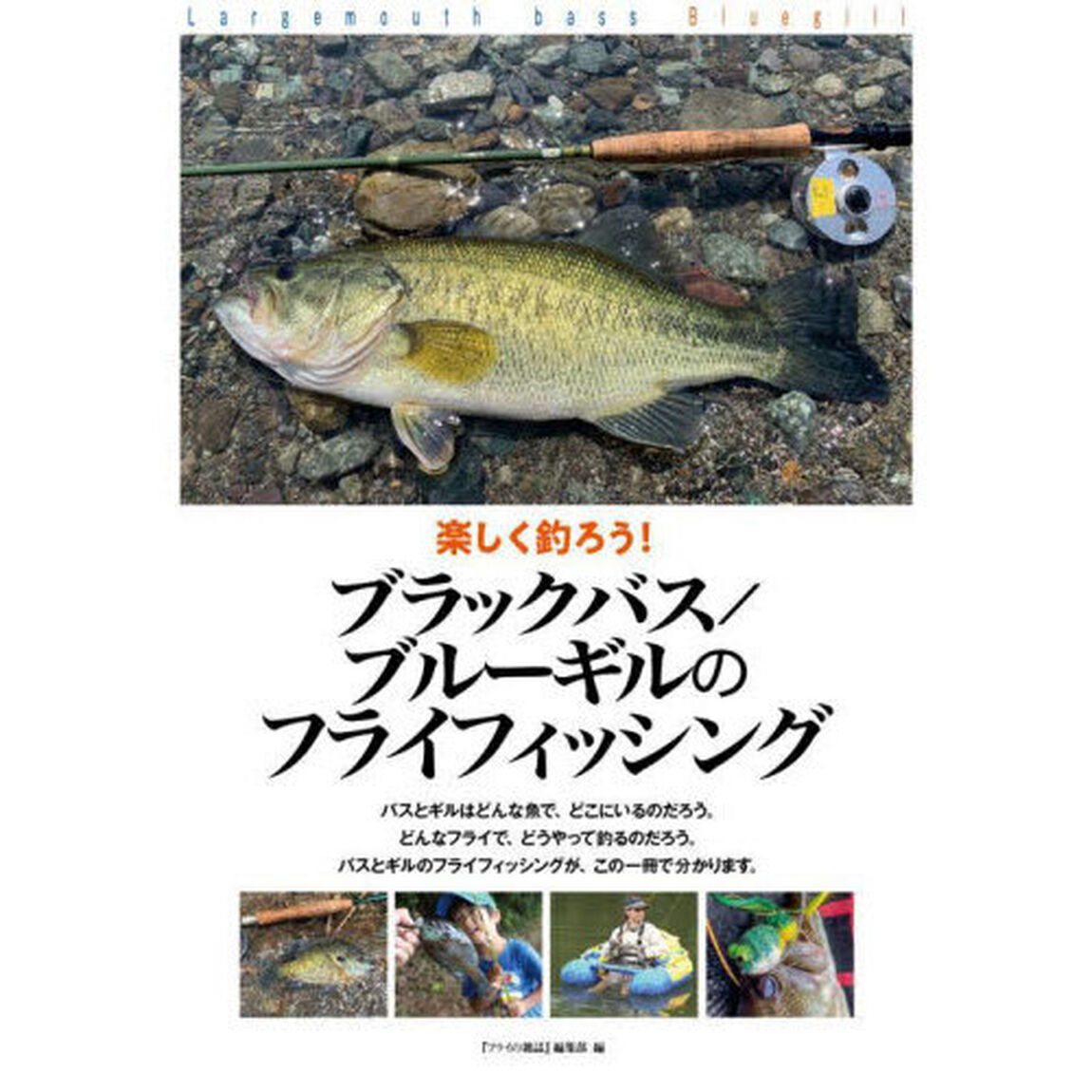 楽しく釣ろう！ブラックバス／ブルーギルのフライフィッシング