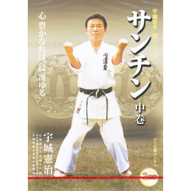 ＤＶＤ　サンチン　中
