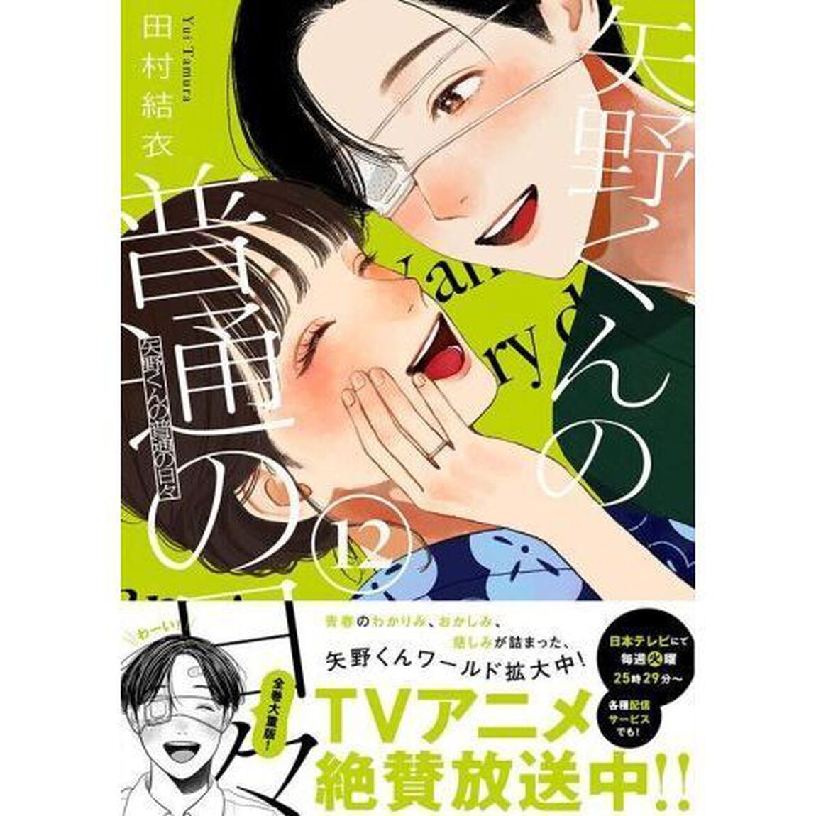 矢野くんの普通の日々 12
