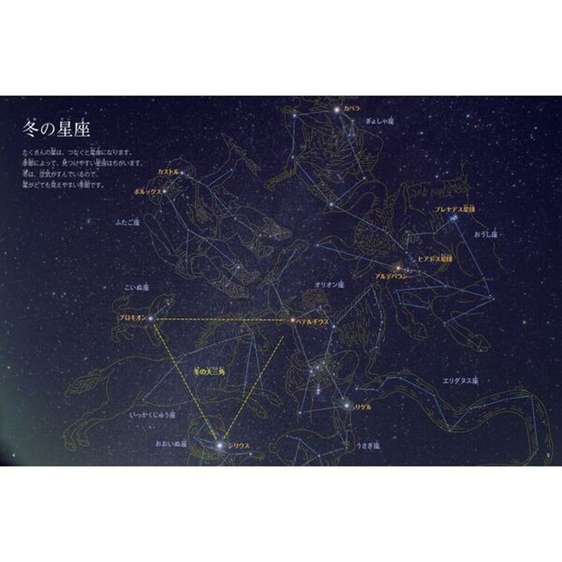 冬の星と星座　冬の星と星座の動きがわかる