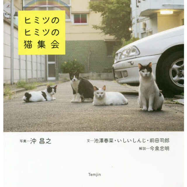ヒミツのヒミツの猫集会