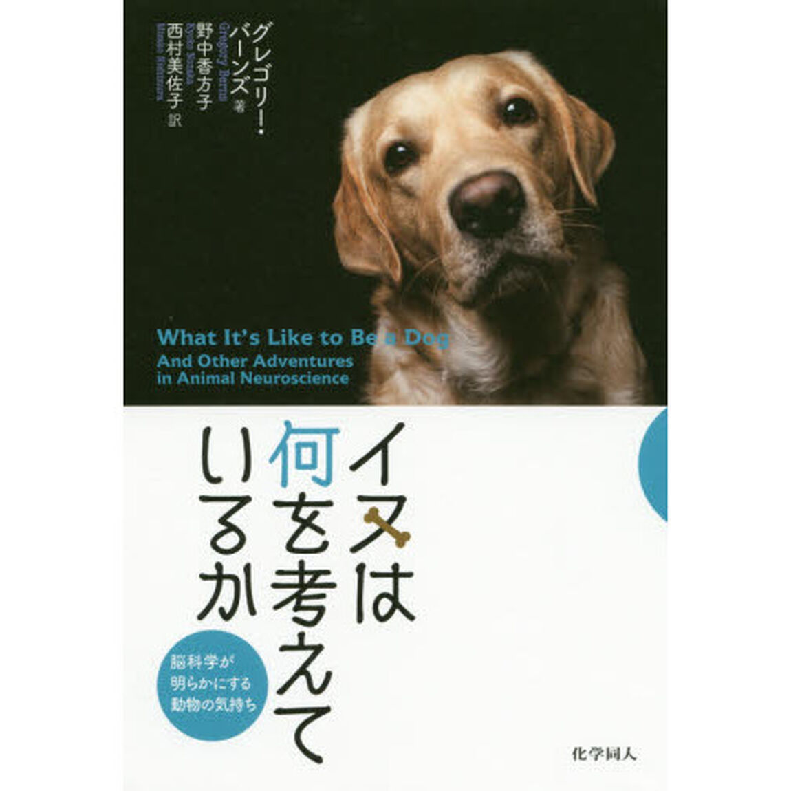 イヌは何を考えているか　脳科学が明らかにする動物の気持ち