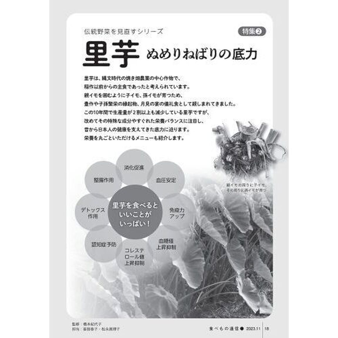 食べもの通信２０２３　１１