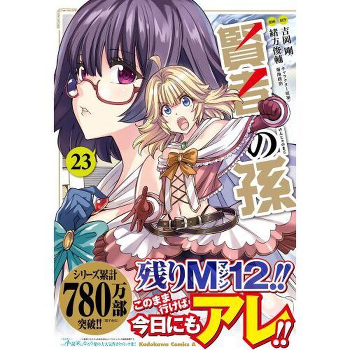 賢者の孫　２３
