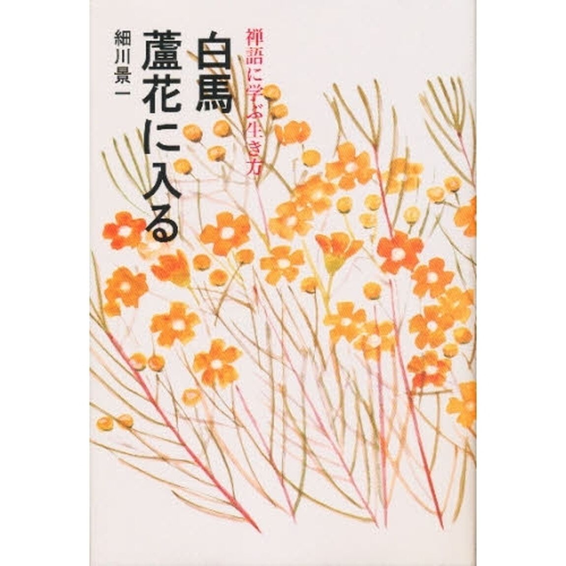 白馬蘆花に入る　禅語に学ぶ生き方