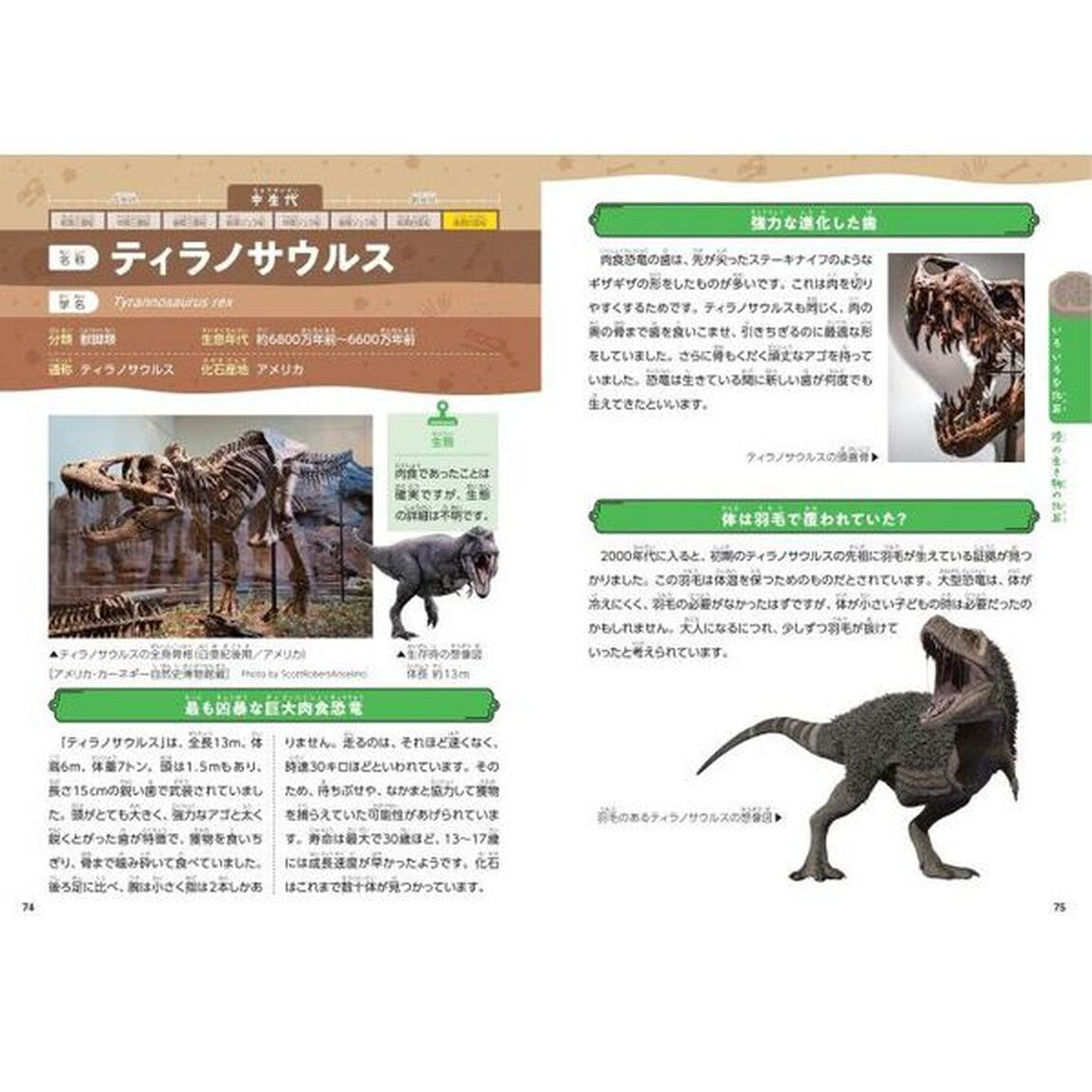 みんなが知りたい！化石のすべて　太古の生き物たちの進化と絶滅のナゾを解く