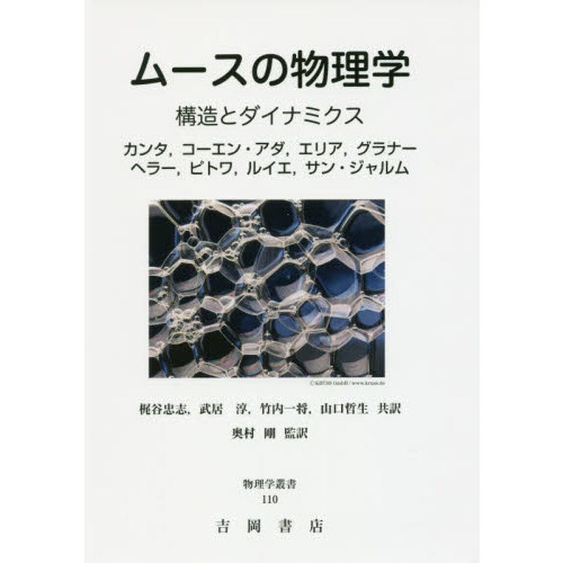 ムースの物理学　構造とダイナミクス