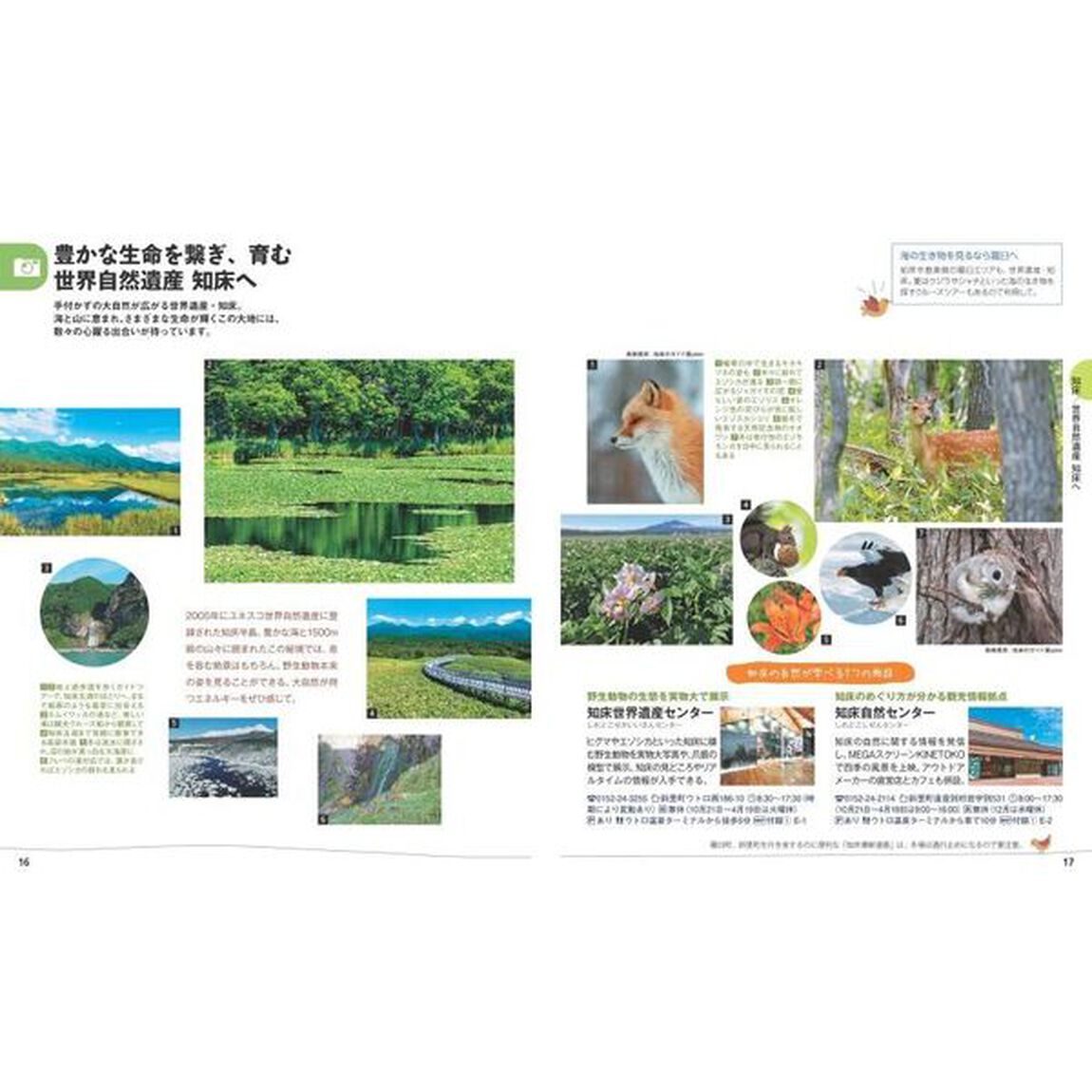 知床・阿寒　釧路湿原「３版」