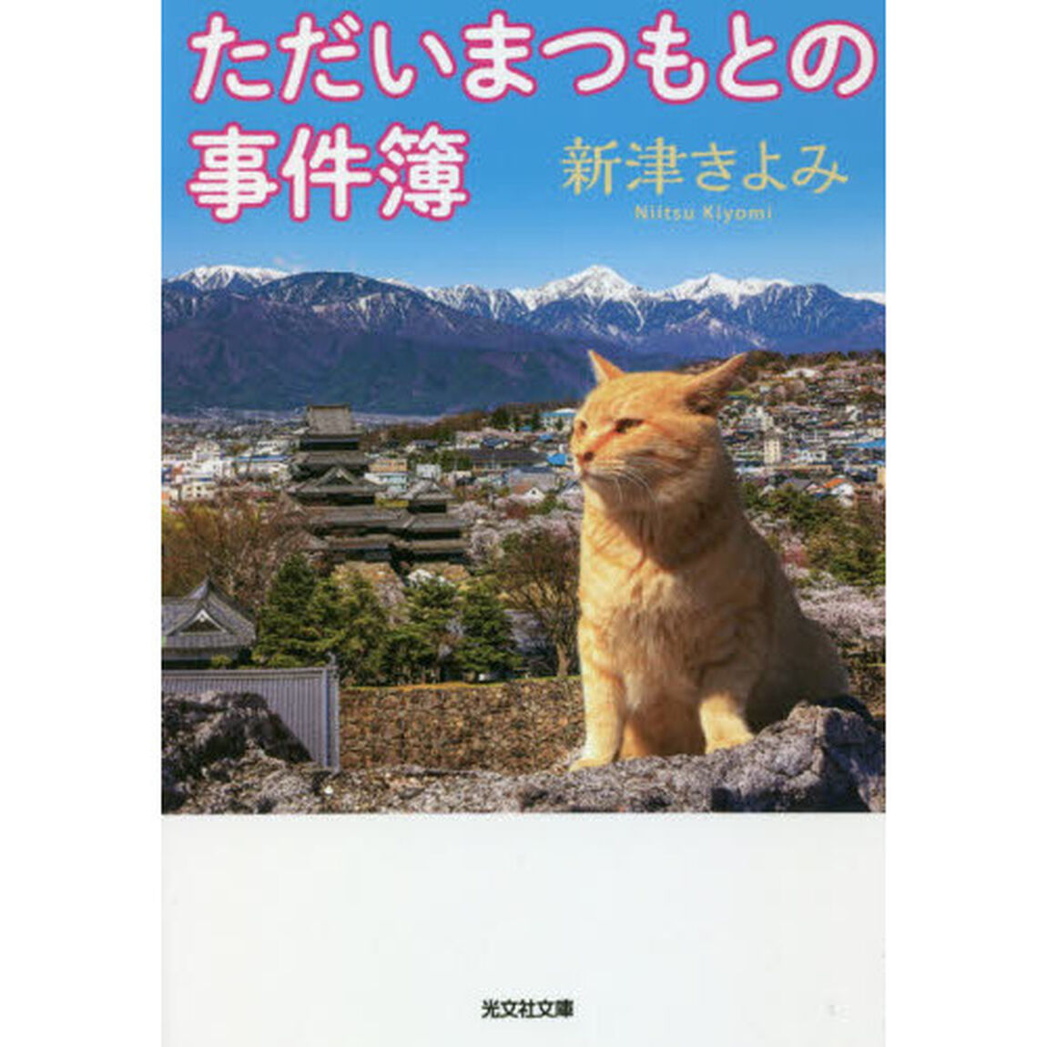 ただいまつもとの事件簿