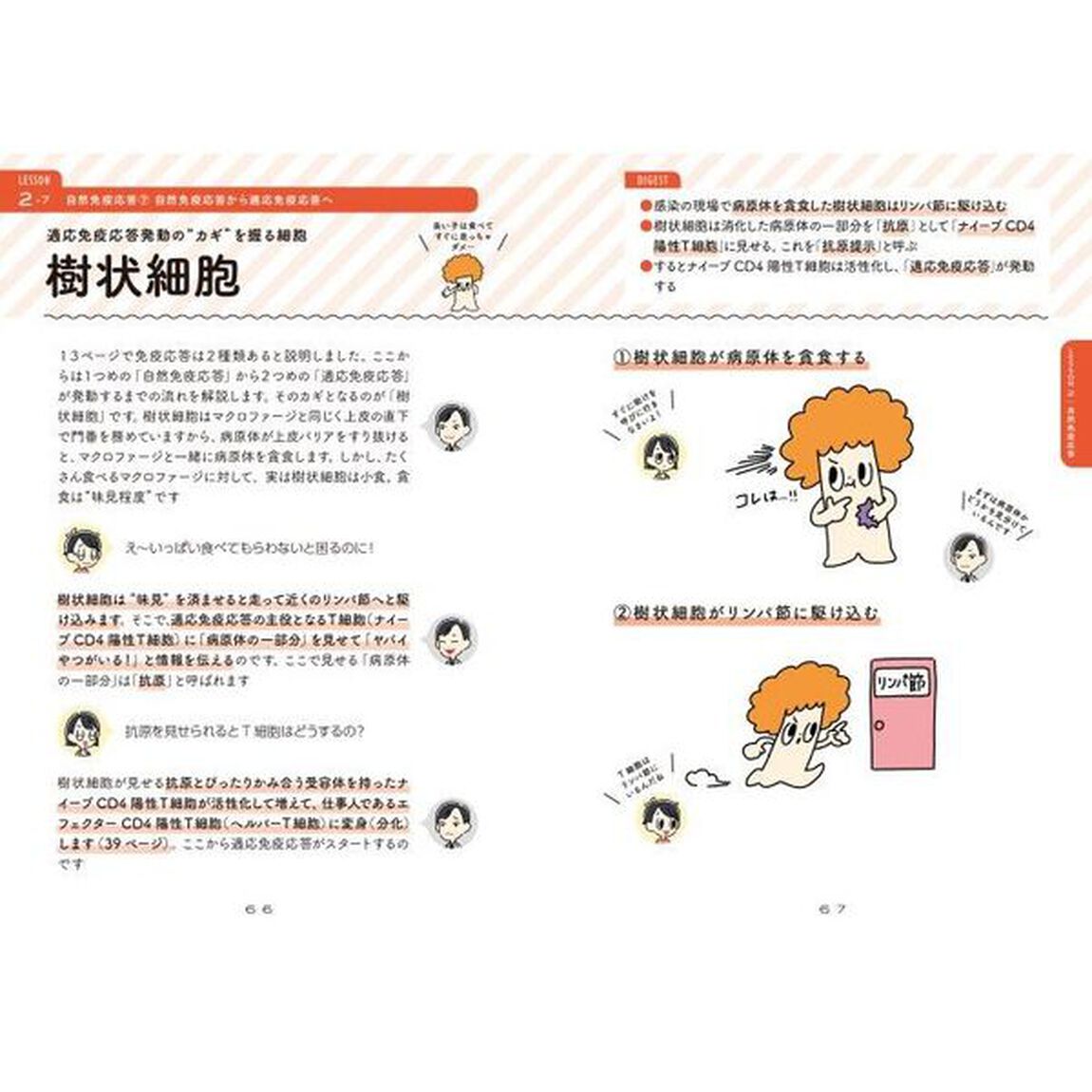 免疫のしくみ・はたらきゆるっと事典　学び始めに最適！！