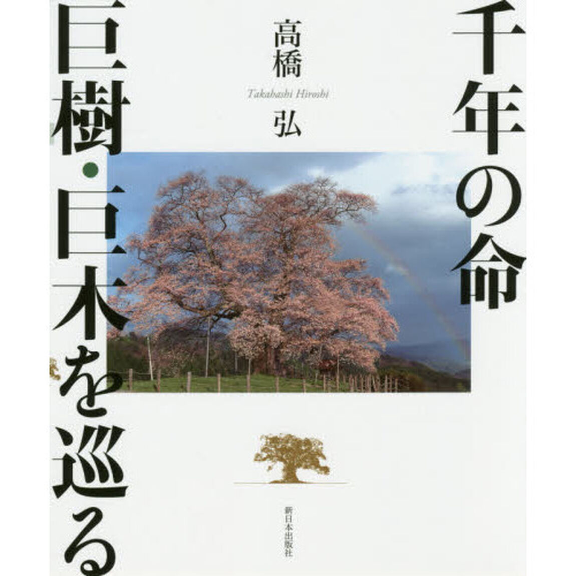 千年の命巨樹・巨木を巡る