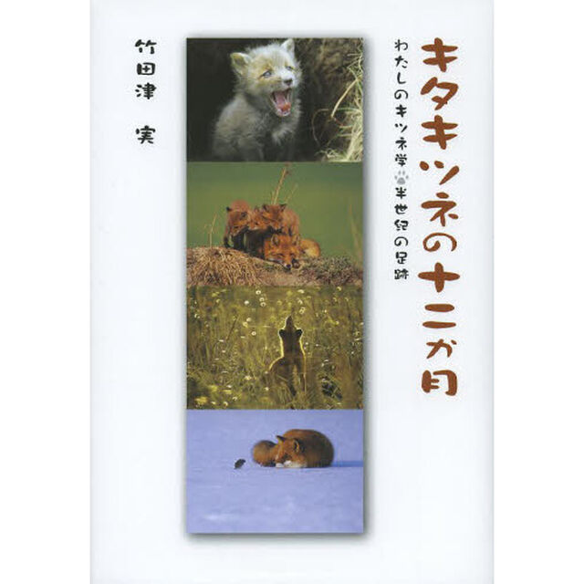 キタキツネの十二か月　わたしのキツネ学・半世紀の足跡