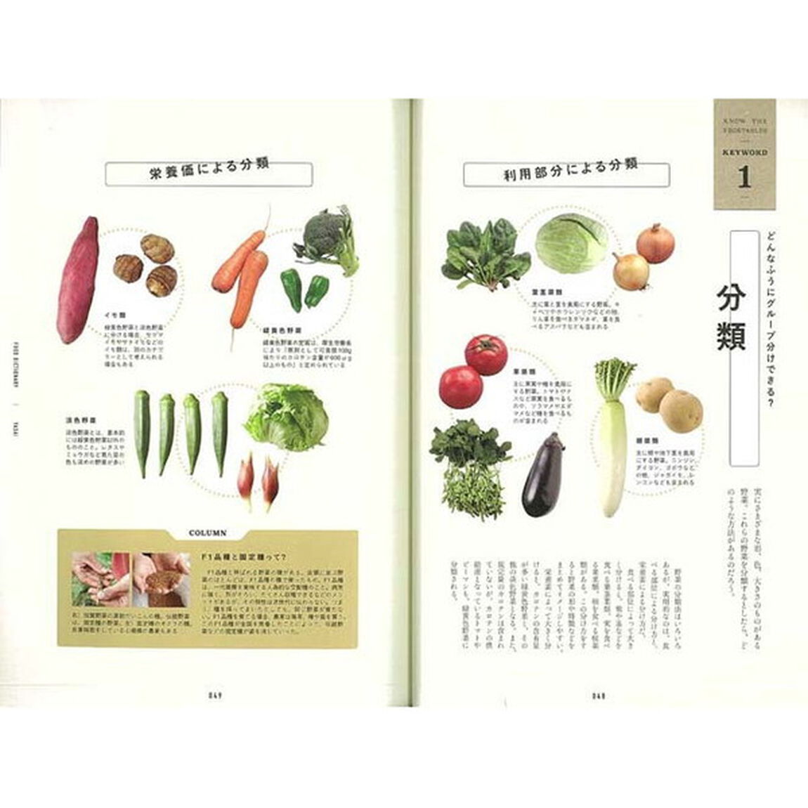 FOOD DICTIONARY 野菜