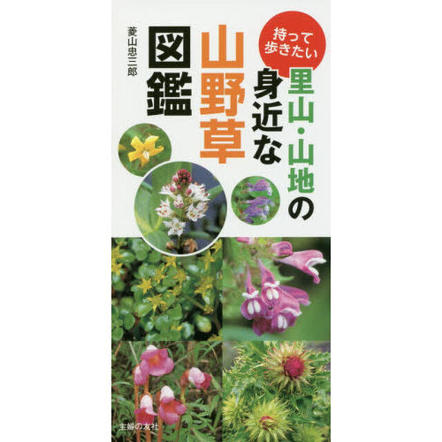 持って歩きたい里山・山地の身近な山野草図鑑