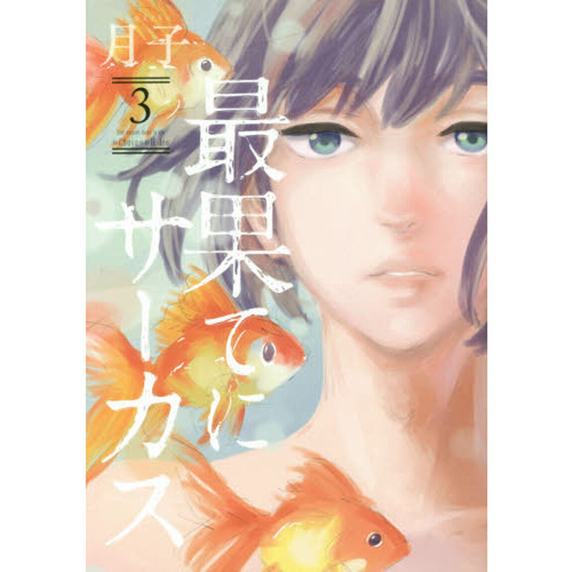 最果てにサーカス　Ｕｎｅ　ｓａｉｓｏｎ　ｄａｎｓ　ｌａ　ｖｉｅ　ｄｅ　Ｃｈｕｙａ　ｅｔ　ｄｅ　Ｈｉｄｅｏ　３