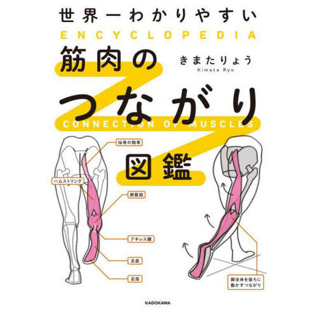 世界一わかりやすい筋肉のつながり図鑑