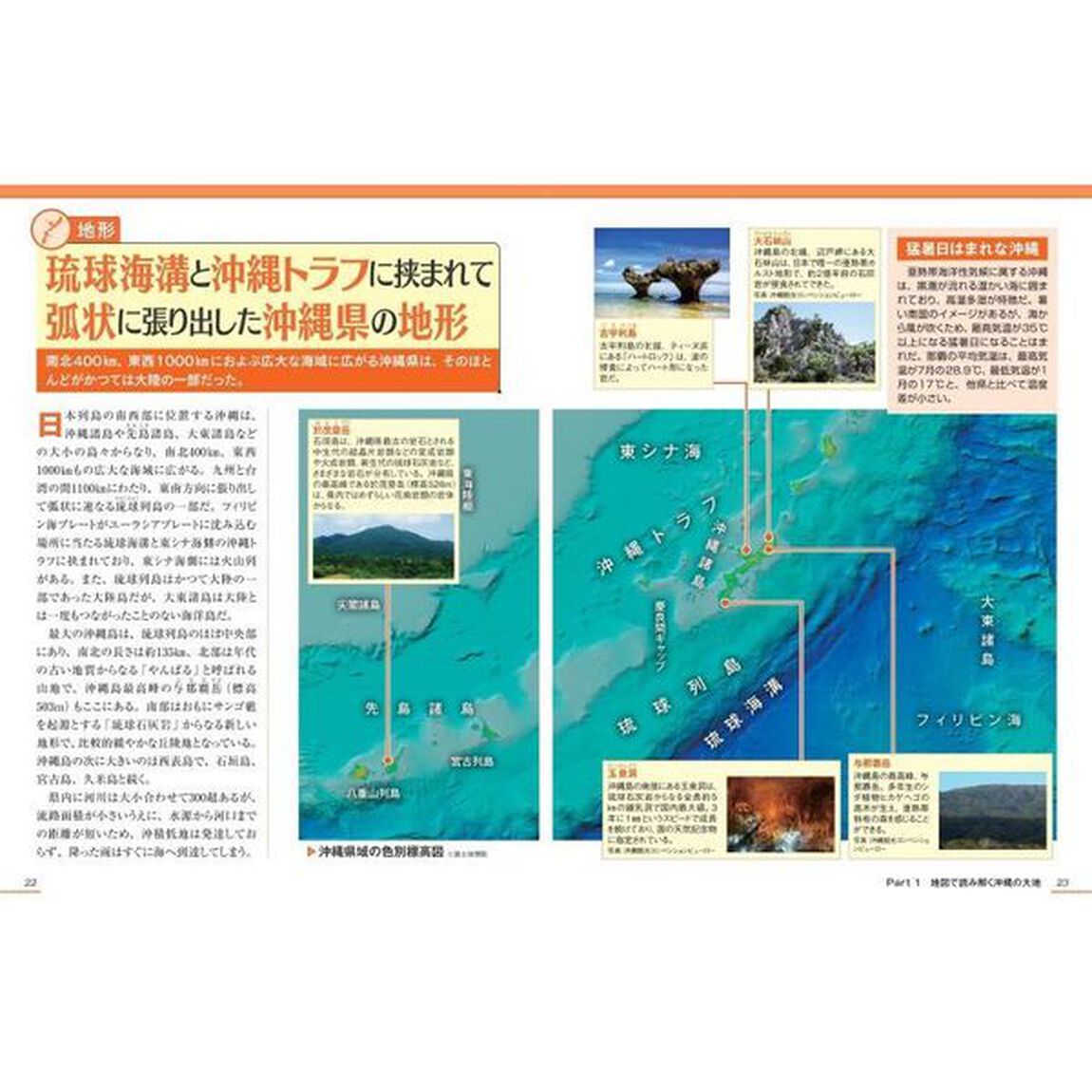 沖縄のトリセツ