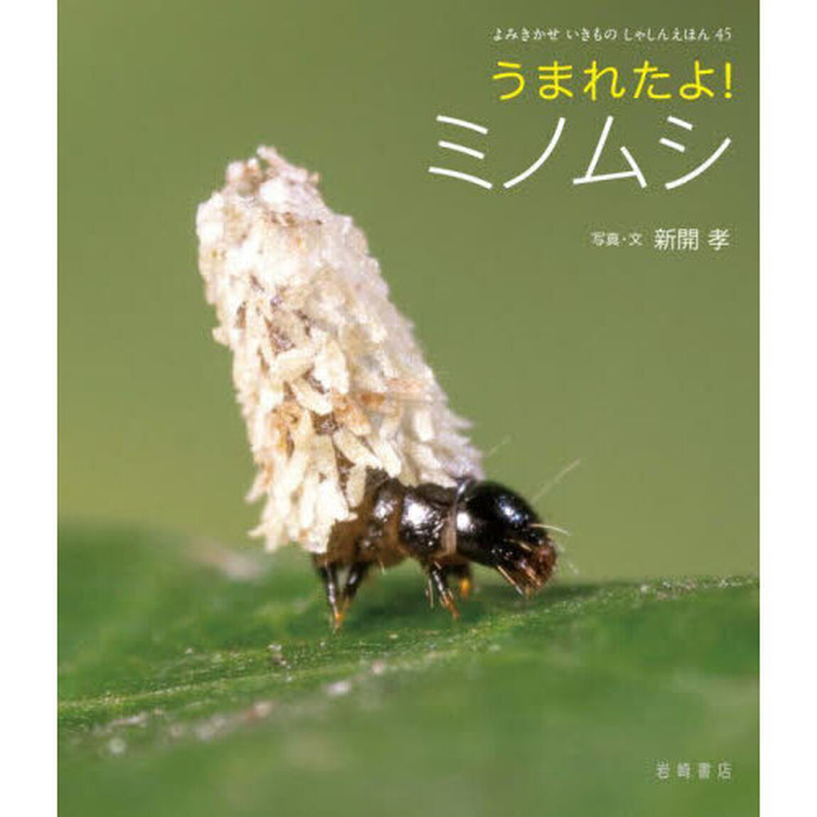 うまれたよ！ミノムシ