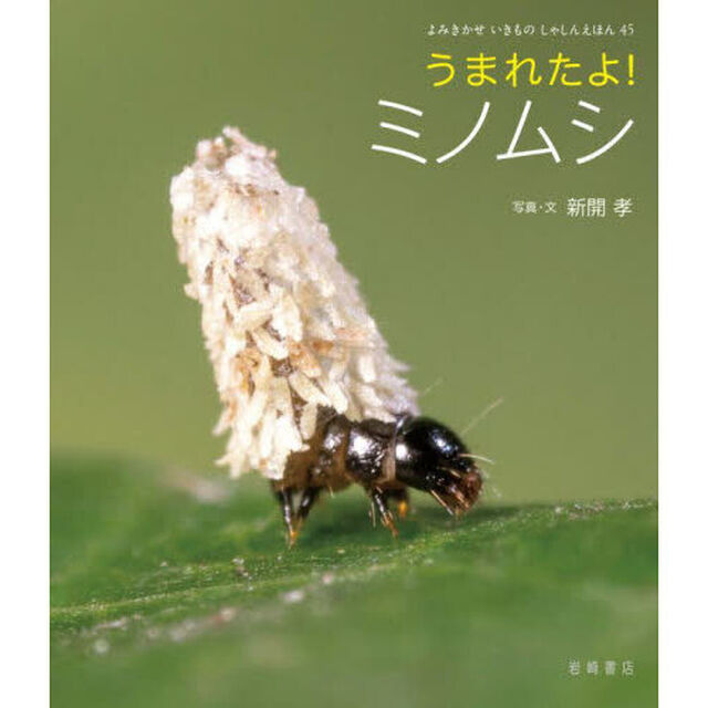 うまれたよ！ミノムシ