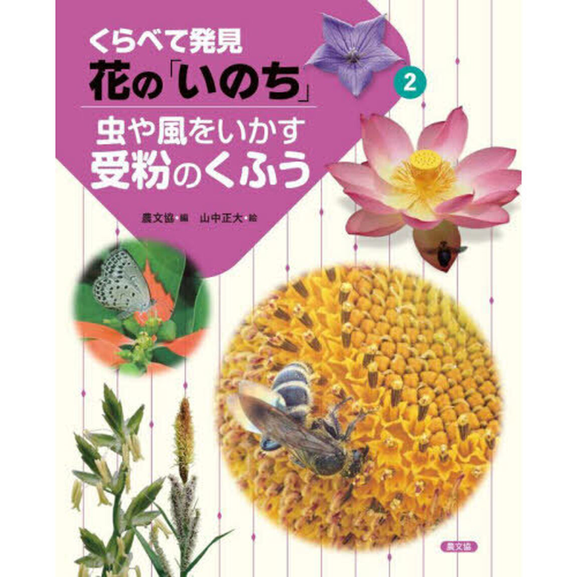 くらべて発見花の「いのち」　２「虫や風をいかす受粉のくふう」