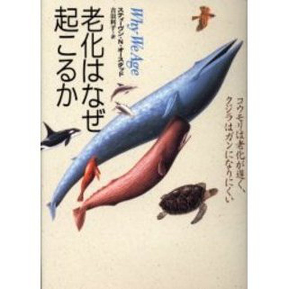 老化はなぜ起こるか　コウモリは老化が遅く、クジラはガンになりにくい