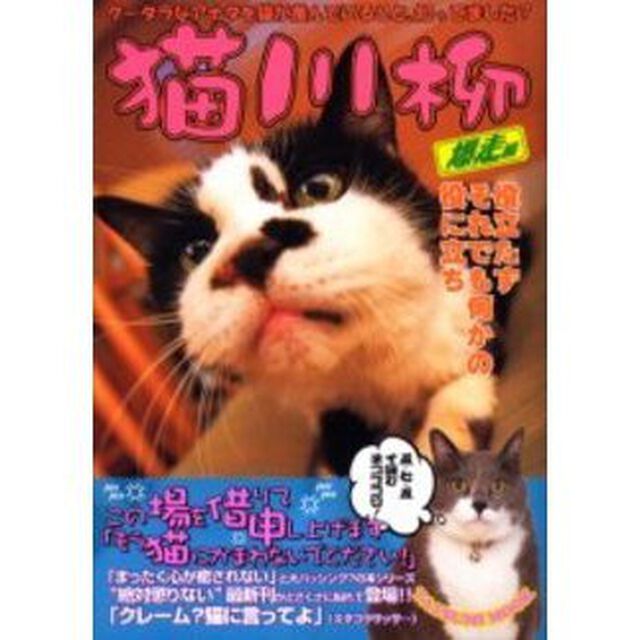 猫川柳　爆走編「猫が読んでも一切メリット無し　猫がオカワリ３杯目」