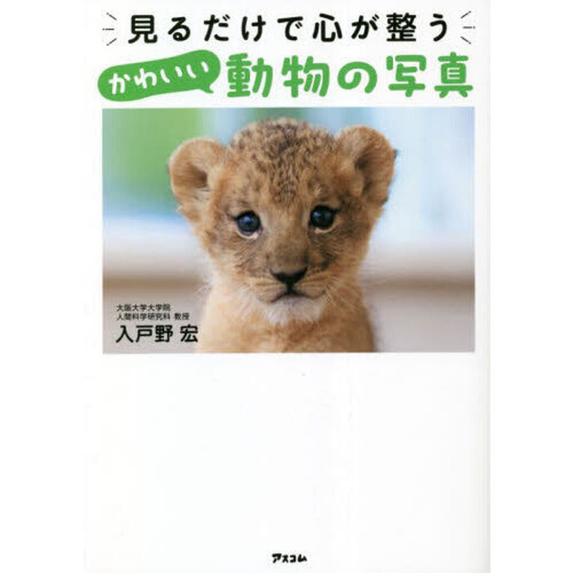 見るだけで心が整うかわいい動物の写真
