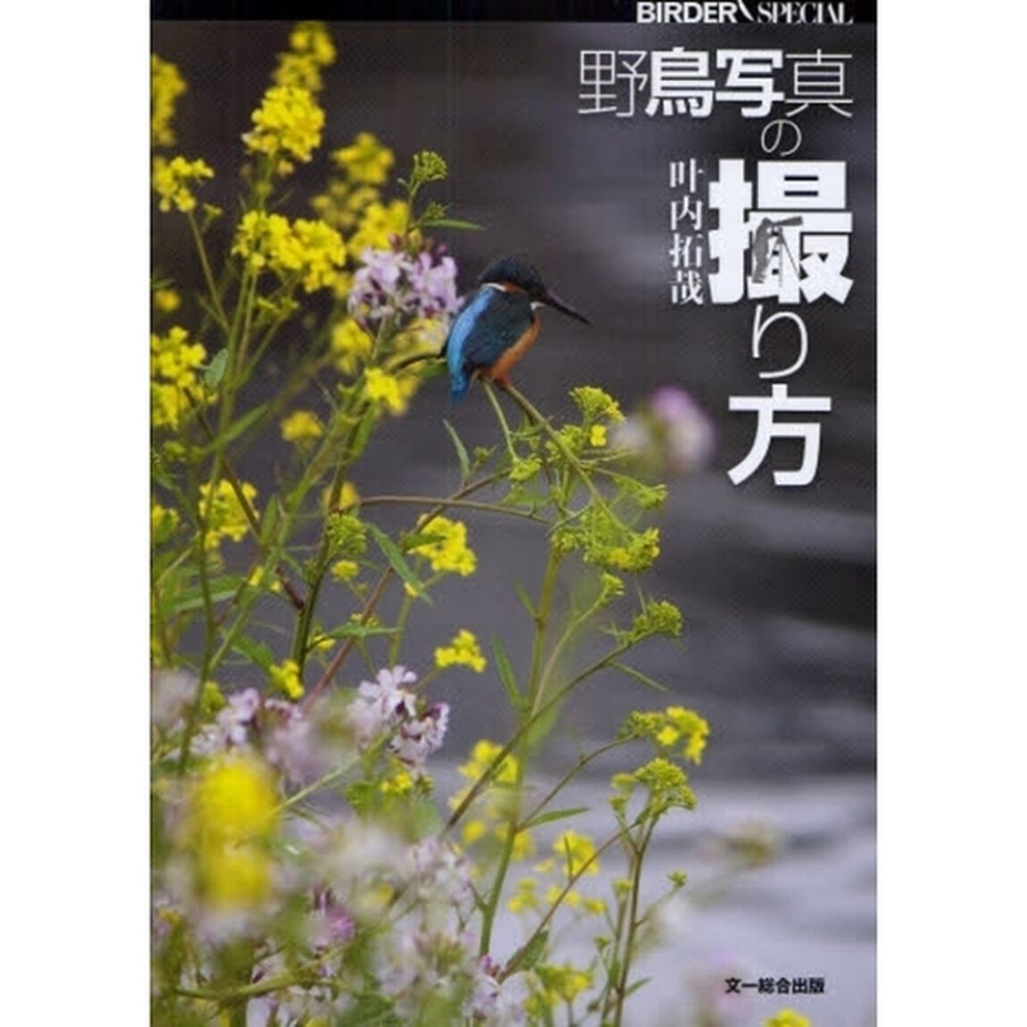 野鳥写真の撮り方
