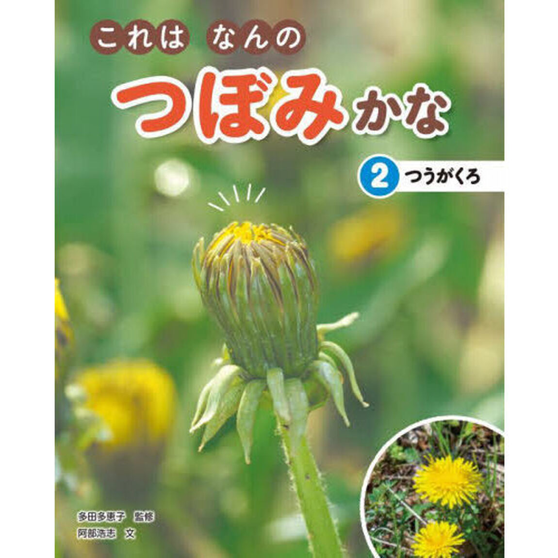 これはなんのつぼみかな　２「つうがくろ」