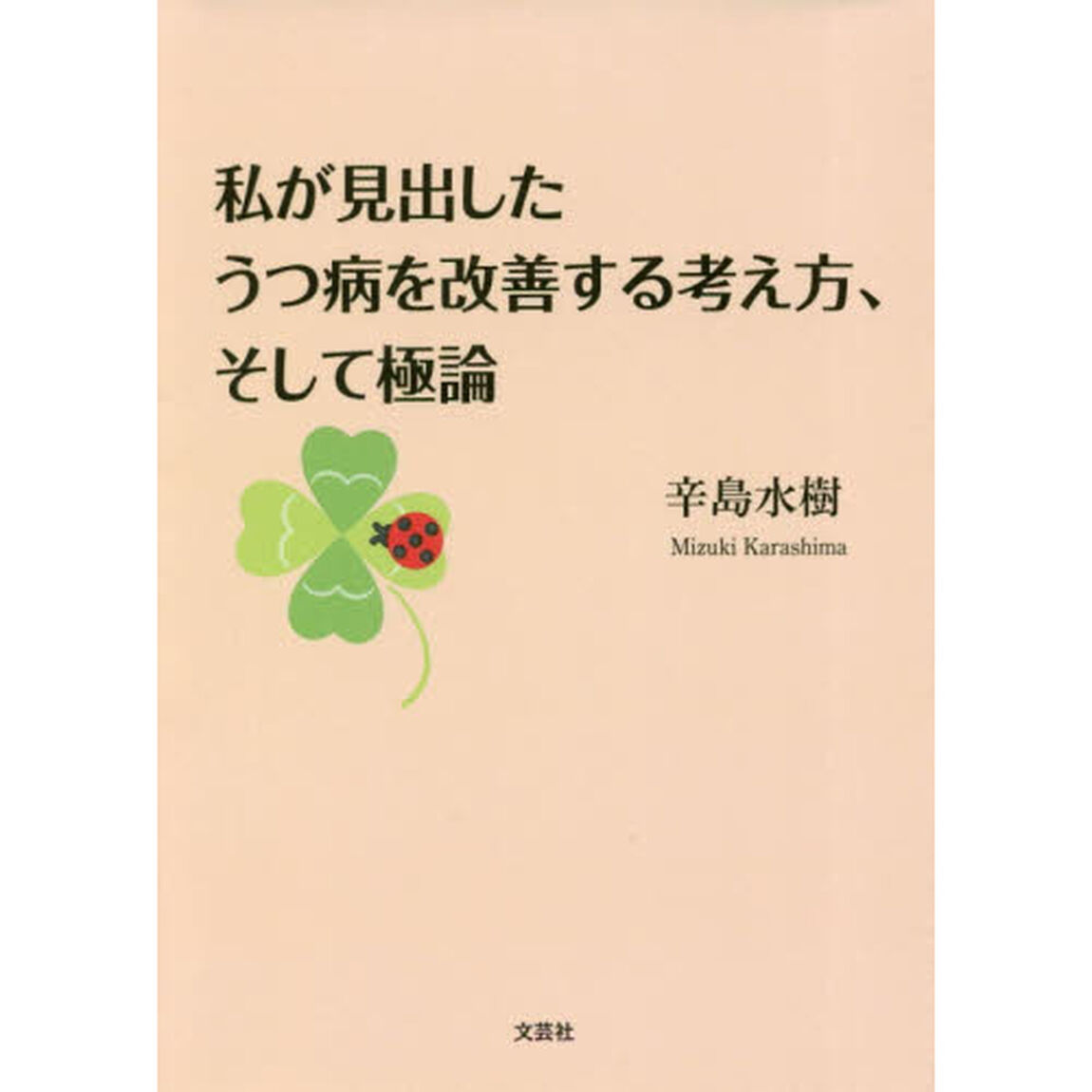 私が見出したうつ病を改善する考え方、そして極論
