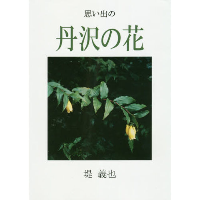 思い出の丹沢の花