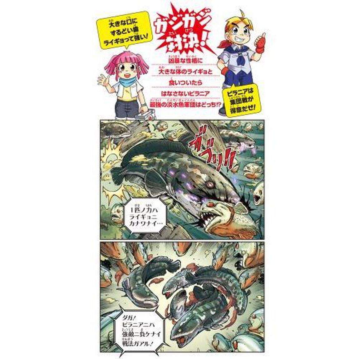 どっちが強い！？ライギョＶＳ（たい）ピラニア　恐怖のかみつき軍団