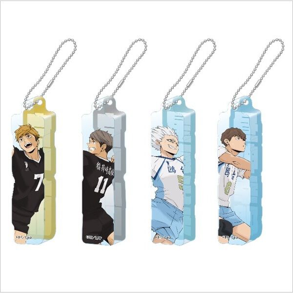 ハイキュー　トレーディング　アクリルネーム　ブロックキーホルダー　コンプリート ハイキュー!!】トレーディング アクリルネームブロックキーホルダー