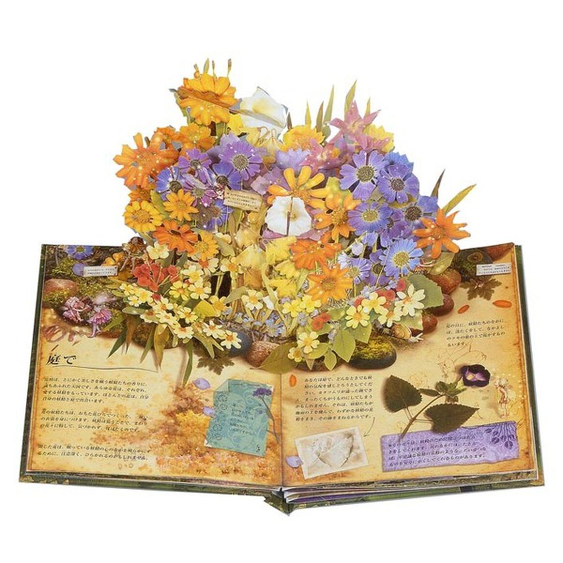 フラワーフェアリーズ〈花の妖精たち〉のお話　(とびだししかけえほん)