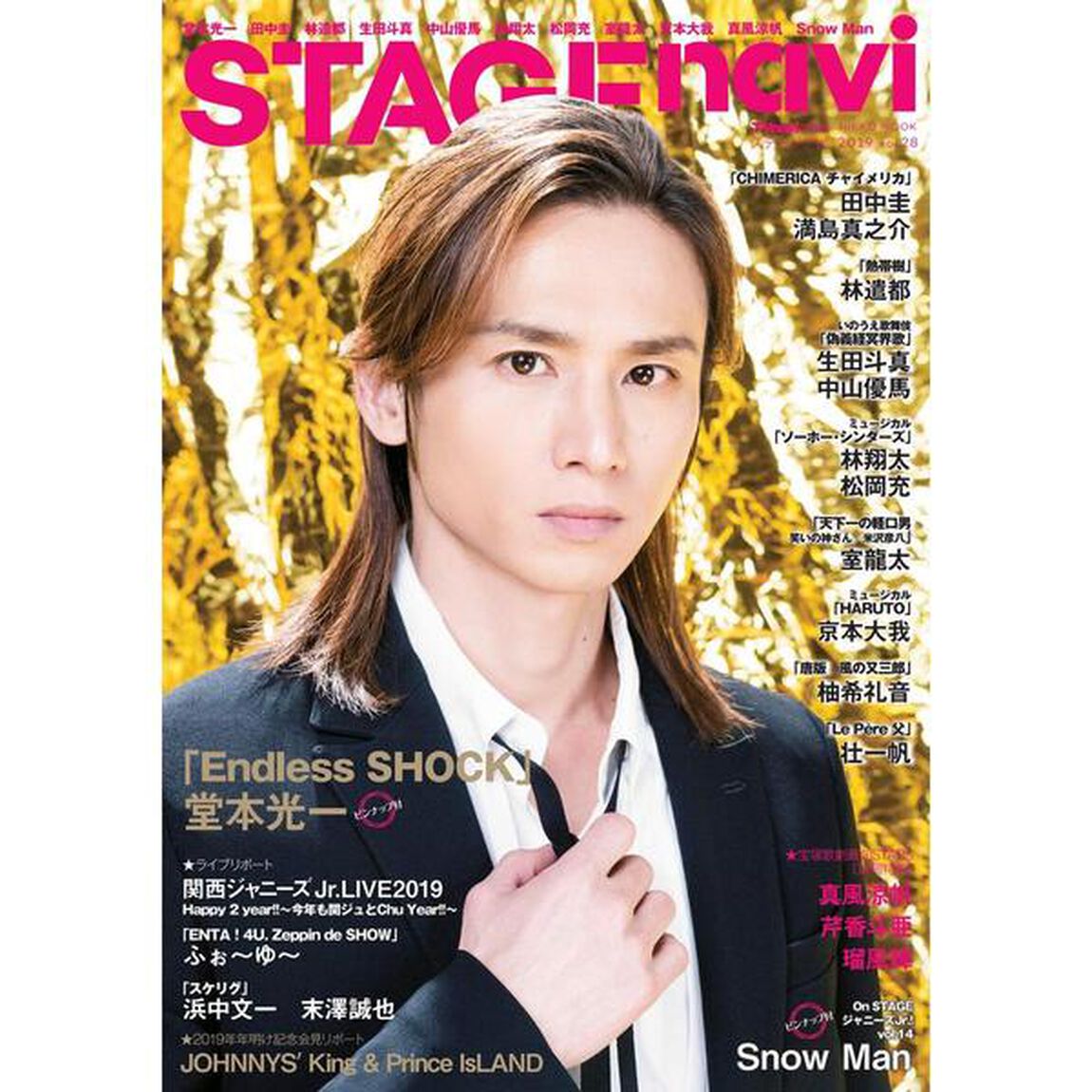 ステージナビ　ｖｏｌ．２８（２０１９）「堂本光一　田中圭　林遺都　生田斗真　中山優馬　林翔太　松岡充　室龍太　京本大我　真風涼帆　芹香斗亜　Ｓｎｏｗ　Ｍａｎ」