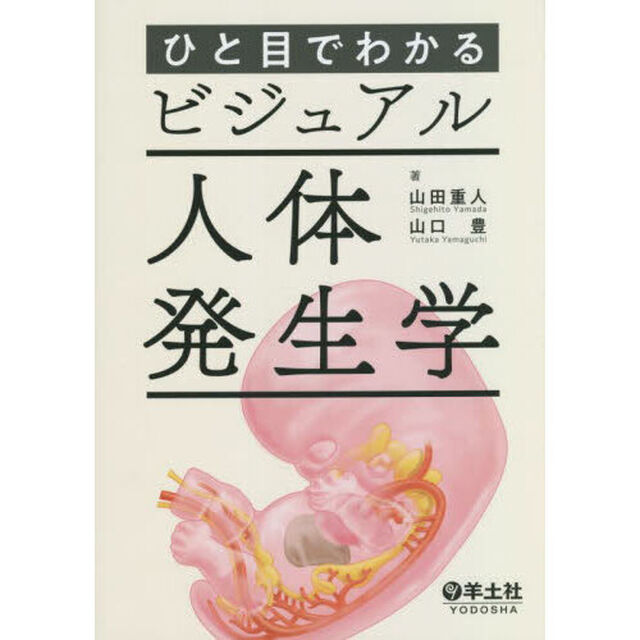 ひと目でわかるビジュアル人体発生学
