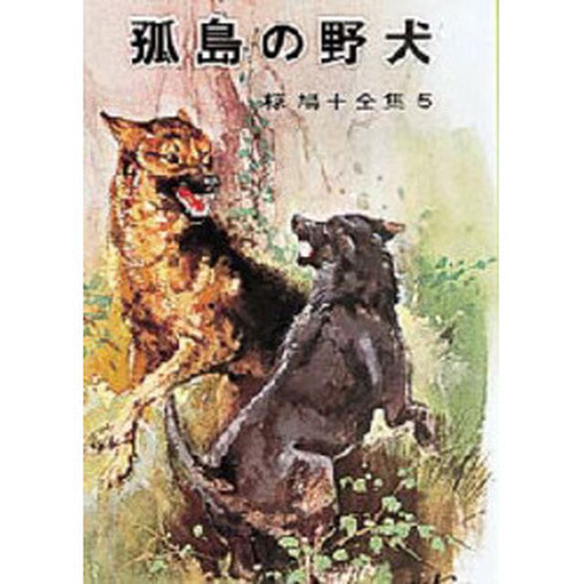 孤島の野犬