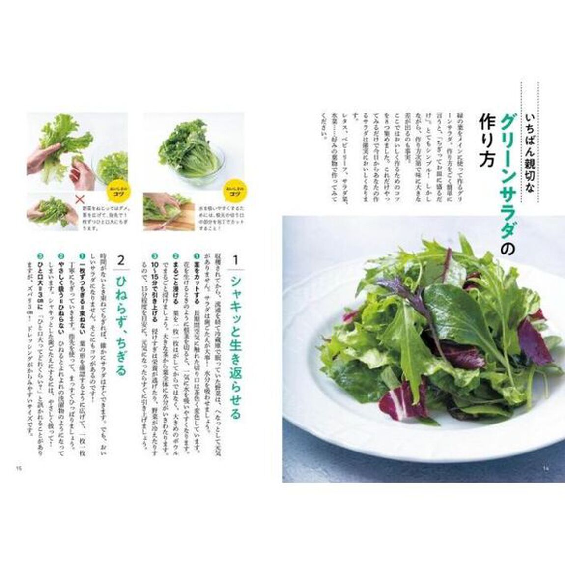 サラダの極意　基本の１０皿でわかる最高のサラダ
