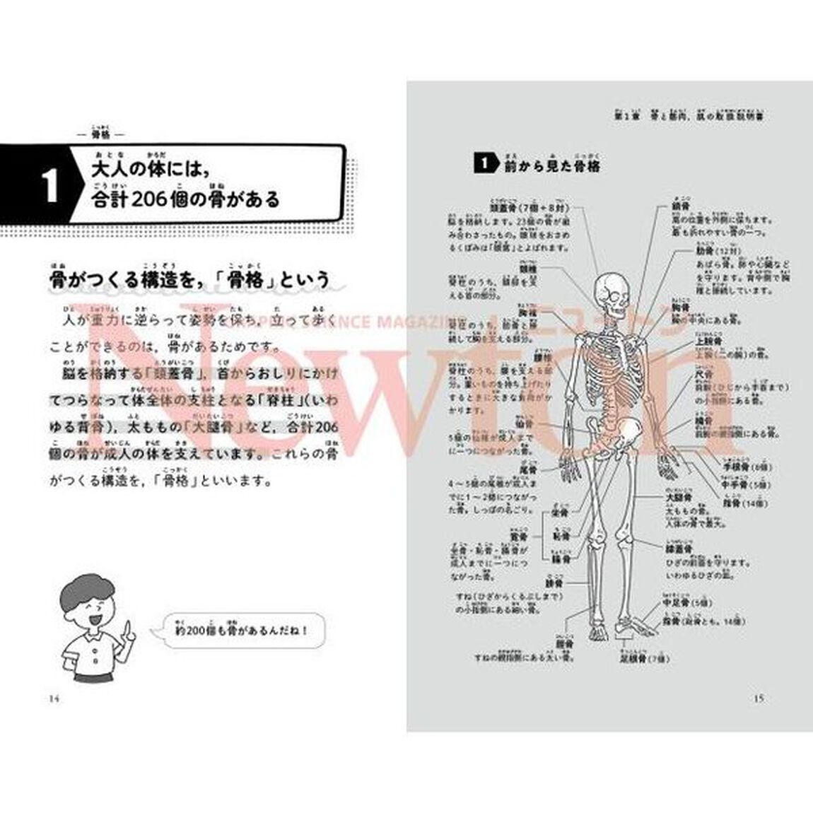 最強に面白い人体　取扱説明書編