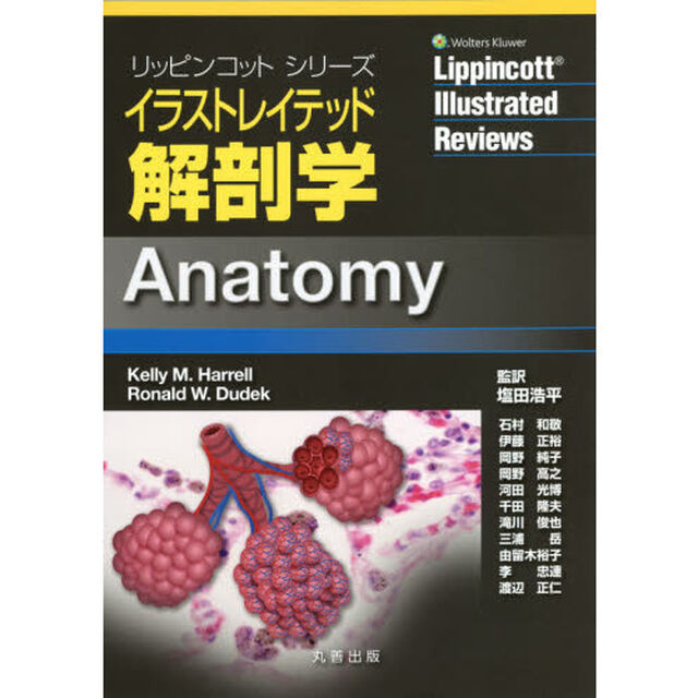 イラストレイテッド解剖学