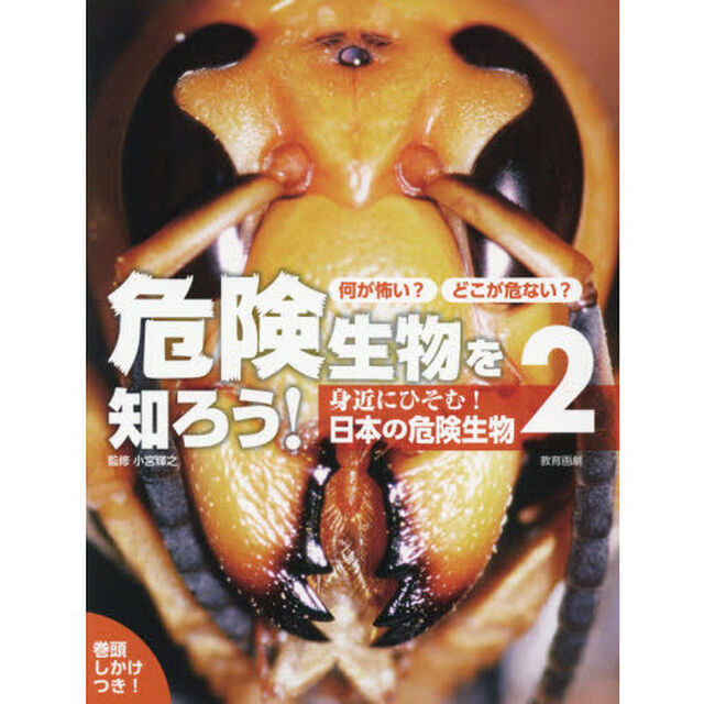 何が怖い？どこが危ない？危険生物を知ろう！　２「身近にひそむ！日本の危険生物」