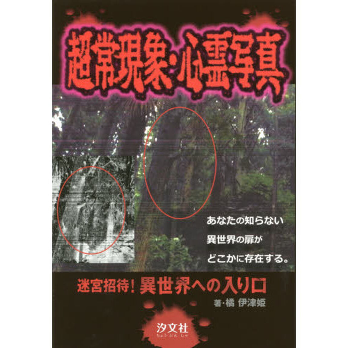 超常現象・心霊写真　迷宮招待！異世界への入り口