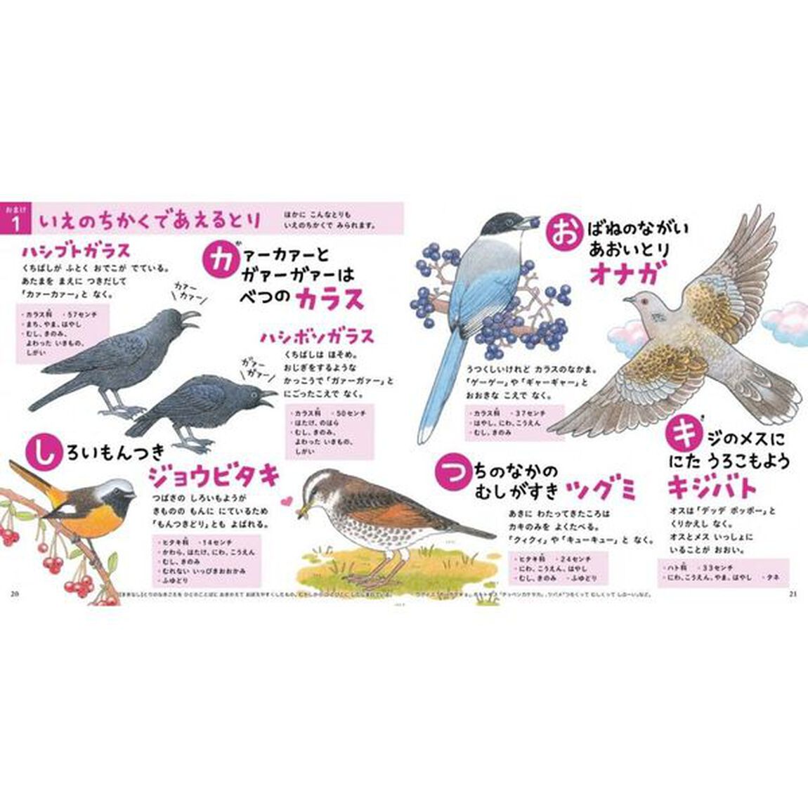 とりのずかん