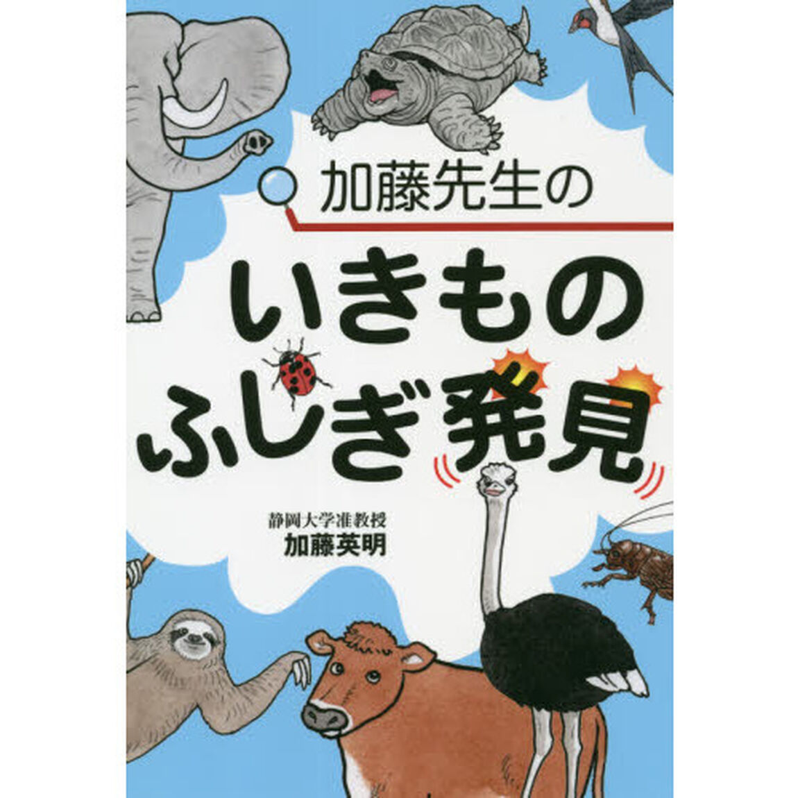 加藤先生のいきものふしぎ発見
