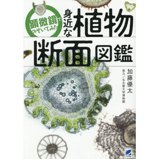 顕微鏡でのぞいてみた身近な植物断面図鑑