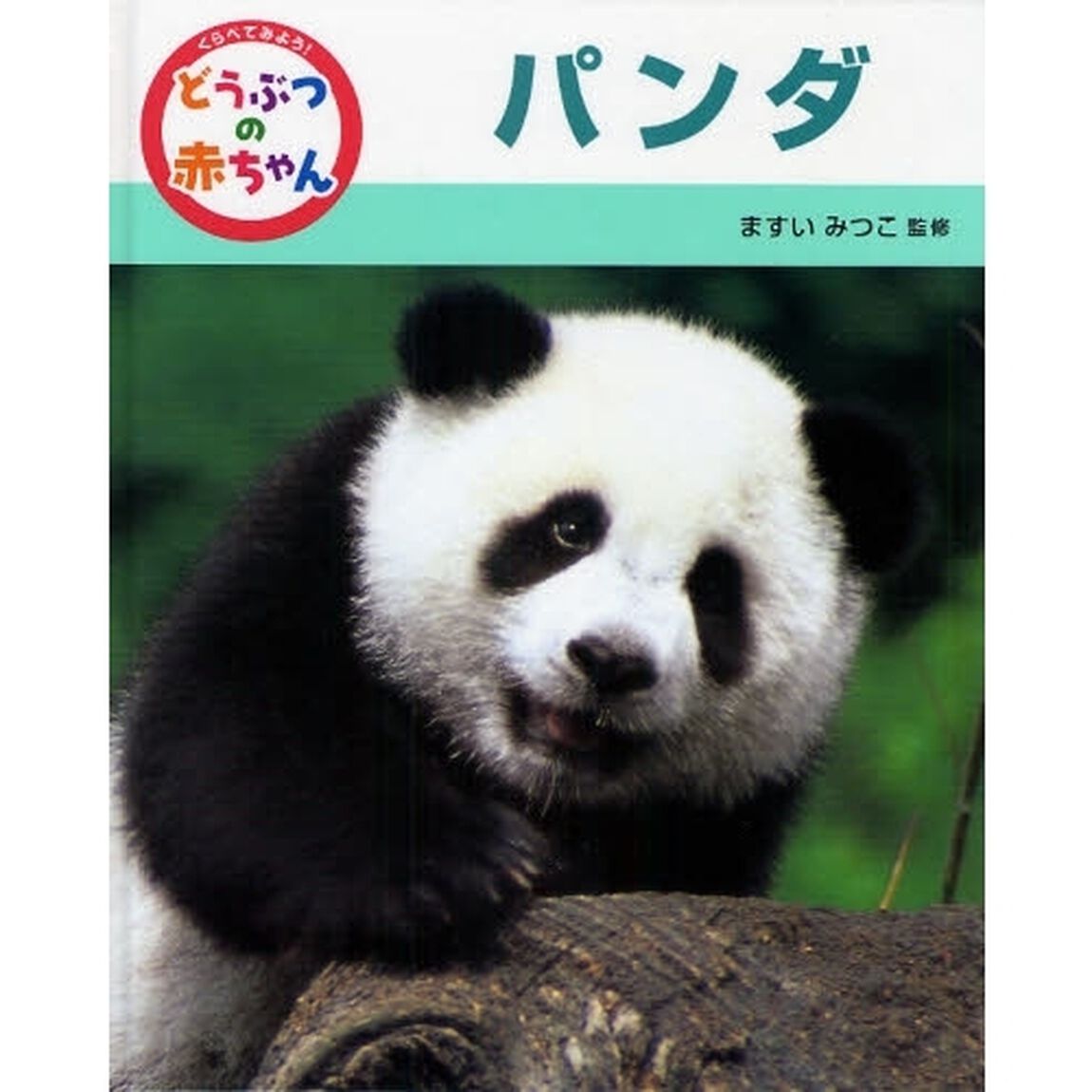 くらべてみよう！どうぶつの赤ちゃん　８「パンダ」