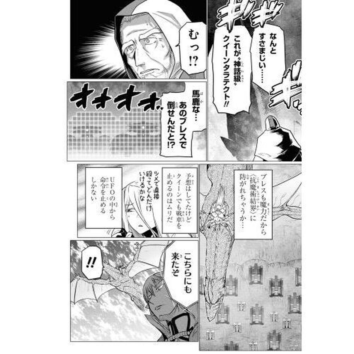 蜘蛛ですが、なにか？　１４