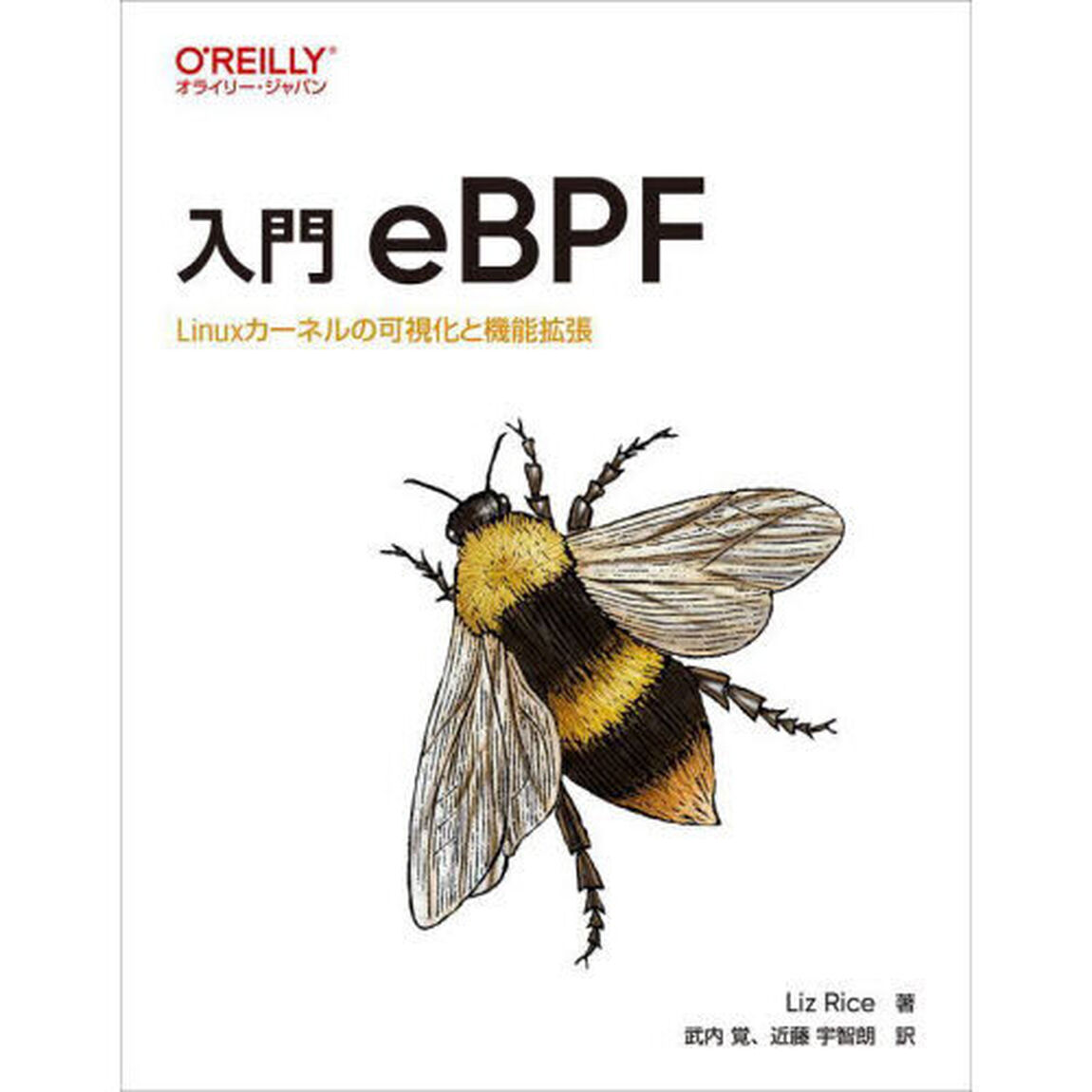 入門ｅＢＰＦ　Ｌｉｎｕｘカーネルの可視化と機能拡張